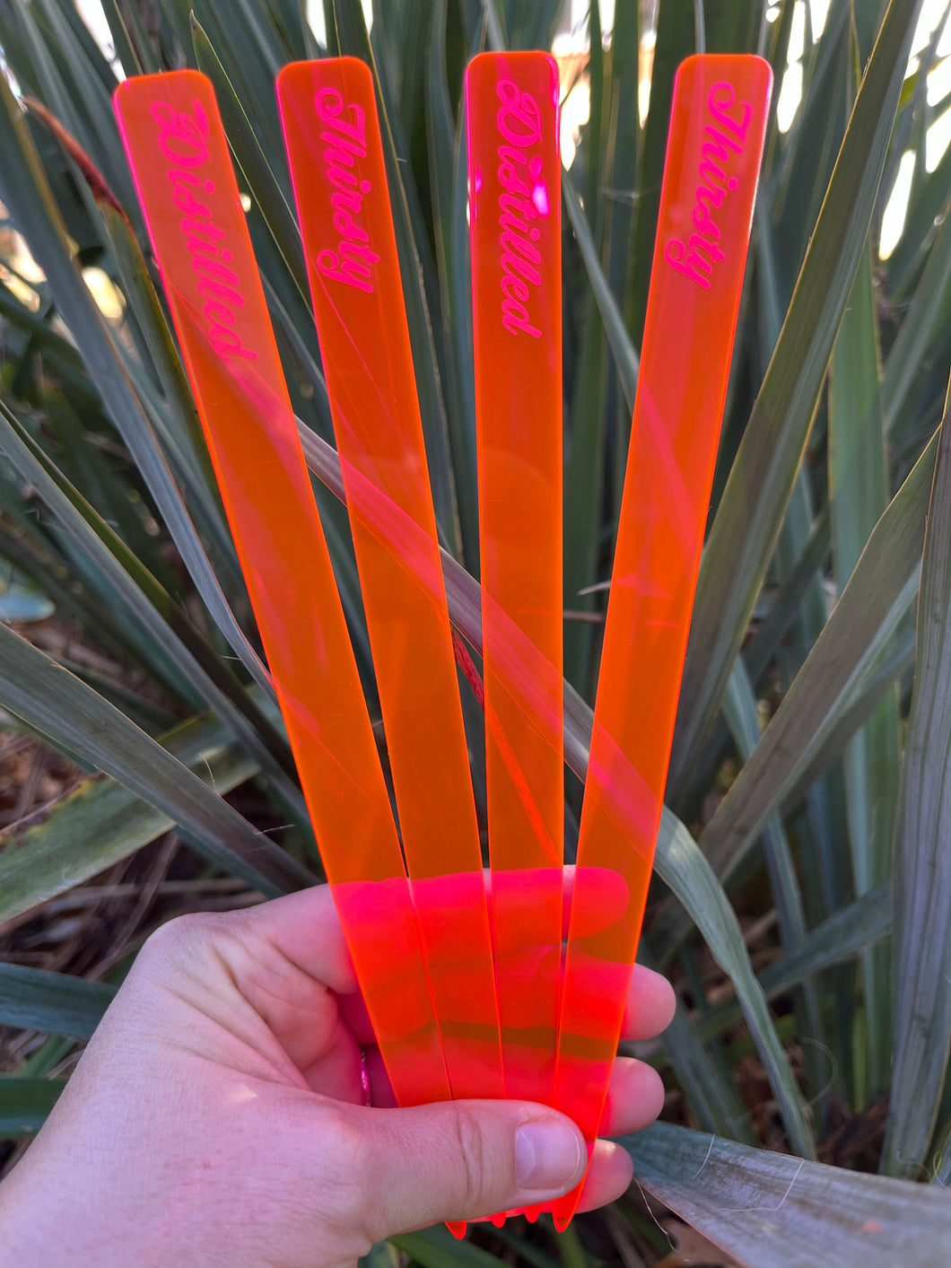 Indoor Plant Care Reminders Plant Marker set, acrylic, four pack