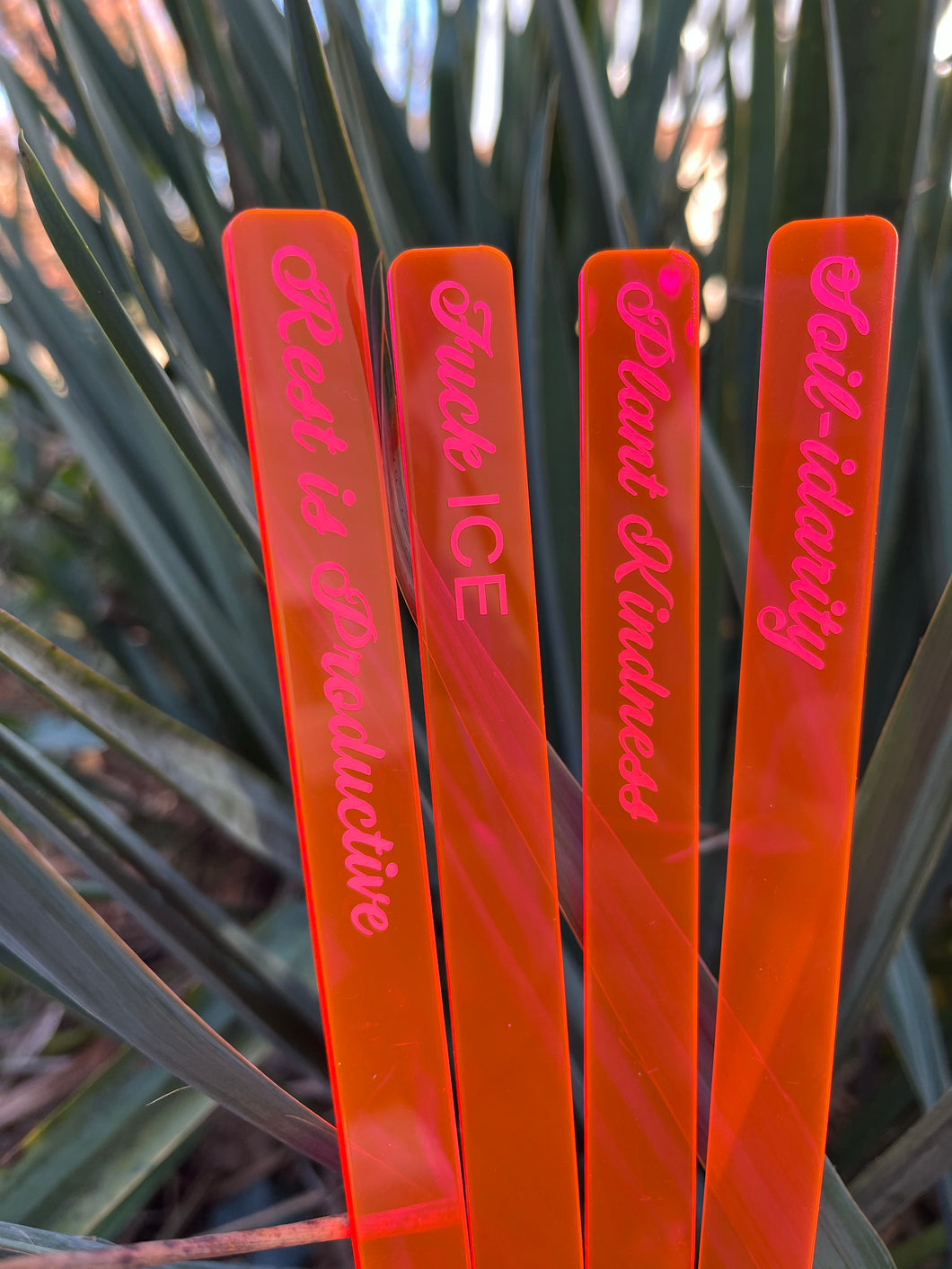 Social Justice Indoor Plant Marker set, acrylic, four pack