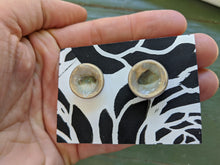 Load image into Gallery viewer, Handmade Ceramic Earrings, Green Glaze with Hints of Blue and Golden-Brown
