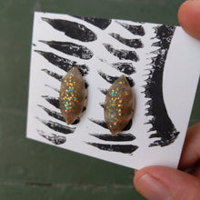 Load image into Gallery viewer, Gold tone resin earrings
